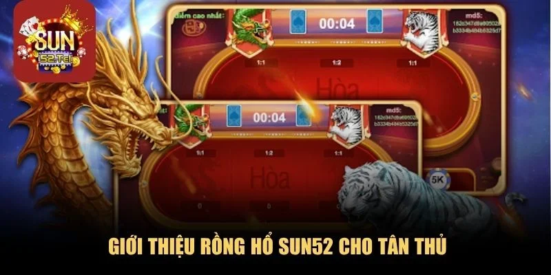 Giới thiệu Rồng hổ SUN52 cho tân thủ