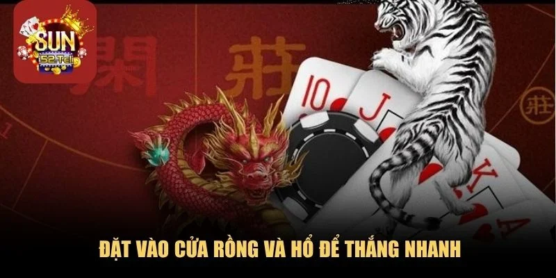 Hãy đặt vào cửa Rồng và Hổ nhiều hơn để thắng nhanh